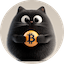 BitcatLOGO
